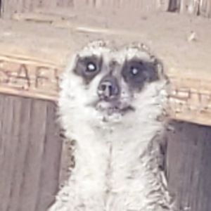 Meet your Posher, Erick